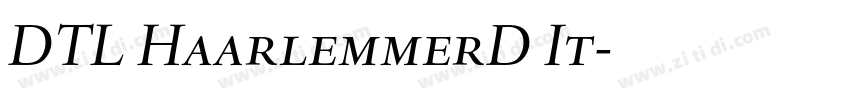 DTL HaarlemmerD It字体转换